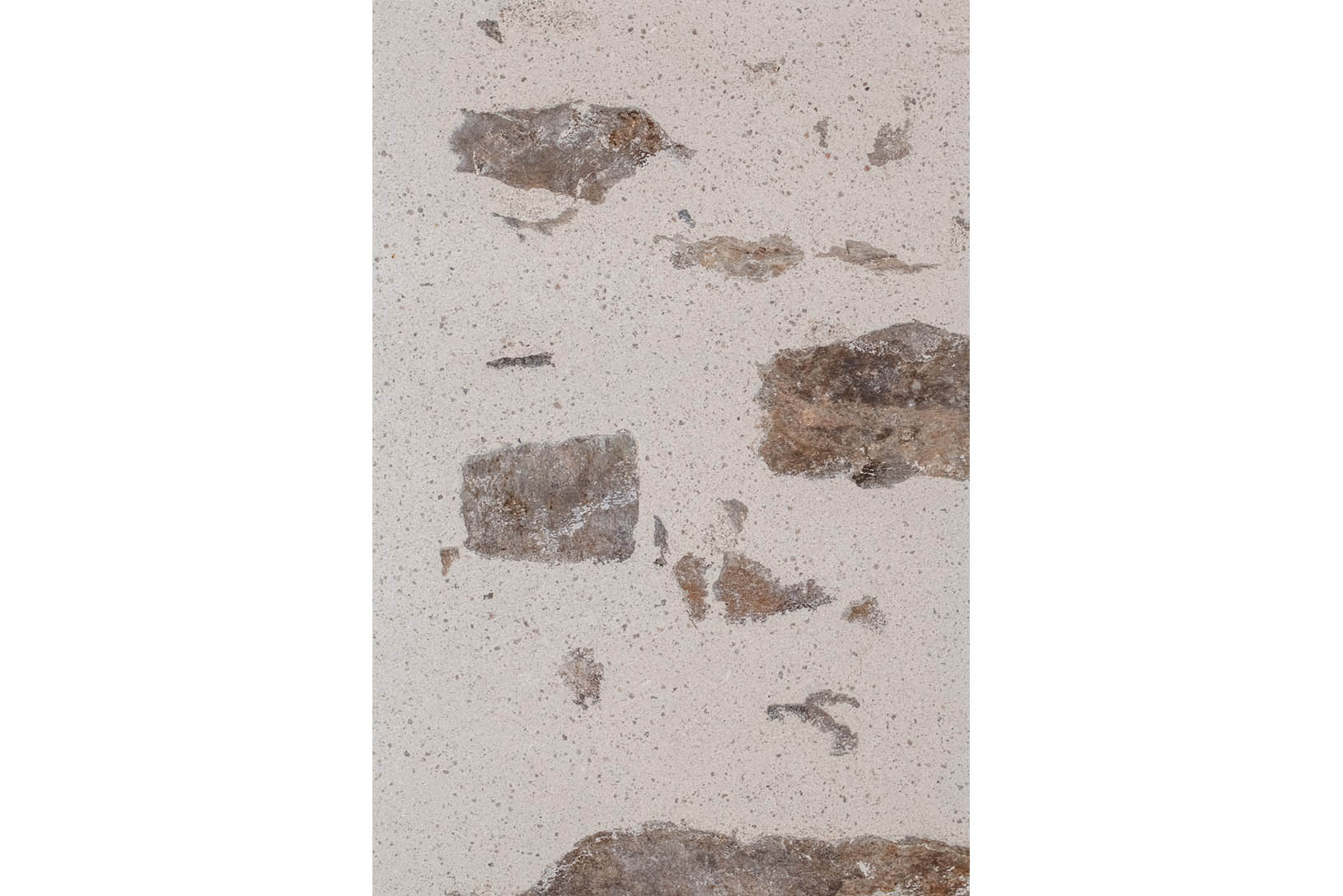 Enduit de chaux pierre à vue et stuc d'argile-La Combarie-Florent Ferlaud-Matiériste coloriste en décor mural-®Lisa-Gervassi-2023-09